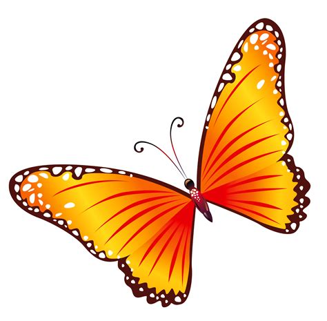 butterflies clipart